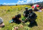 Borong Hasil Kebun Warga, Cara Satgas Yonif 408/Sbh Dorong Ekonomi Kampung Nenggeagin
